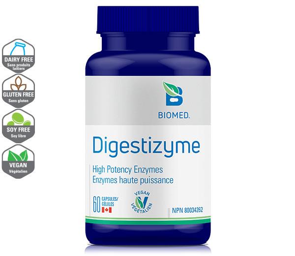 digestizyme - High Potency Enzyme